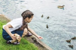 The HR Team-feeding the ducks