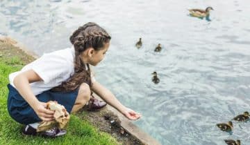 The HR Team-feeding the ducks