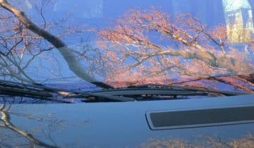 closeup of car windshield with tree in the reflection
