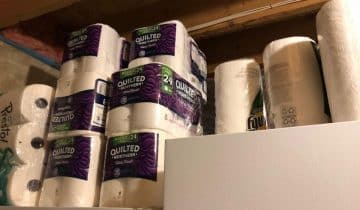 toilet paper rolls